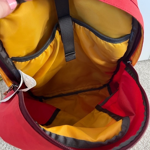 Patagonia backpack 20L sumac red ironwood pack - Picture 4 of 4